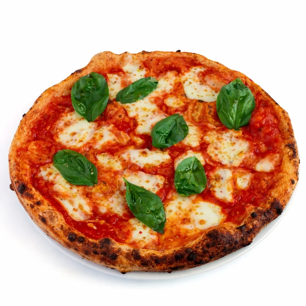 Margherita ‘Ruota di carro’, 38 cm